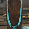 Blue Turquoise and Jet Disc Necklace