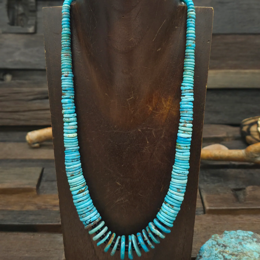 Blue Turquoise and Jet Disc Necklace